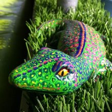 Painted Lizard