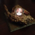 Driftwood Table Candle Light