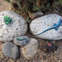 Stones #0 – Acrylics on the Rocks