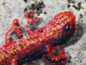 red lizard detail