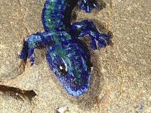 blue lizard 2 detail